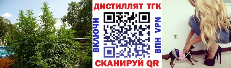 Дистиллят ТГК концентрат  Баксан 