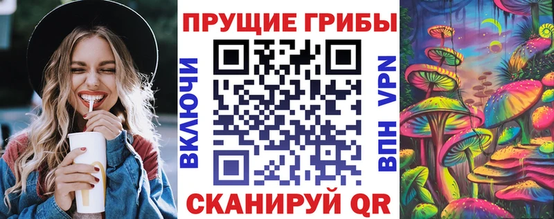 купить закладку  мега вход  мориарти состав  Баксан  Псилоцибиновые грибы MAGIC MUSHROOMS 